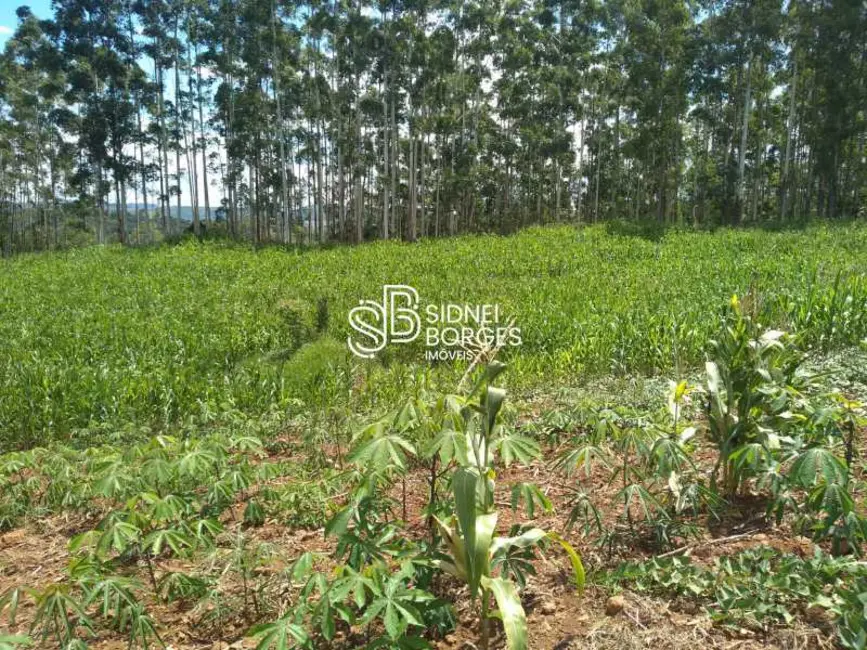 Sítio / Rancho à venda em Paial - SC - imagem 23 Foto 23 de Sítio / Rancho à venda em Paial - SC