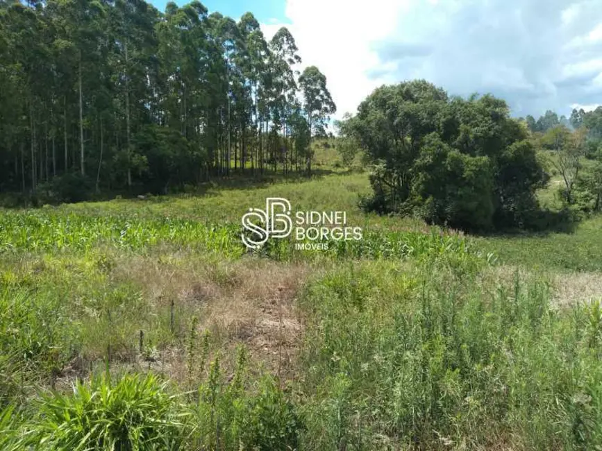 Sítio / Rancho à venda em Paial - SC - imagem 15 Foto 15 de Sítio / Rancho à venda em Paial - SC