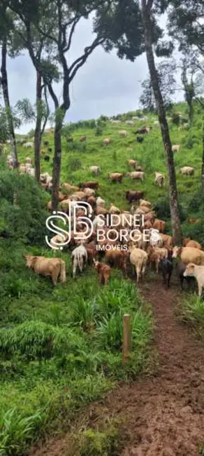 Fazenda / Haras à venda em Coronel Domingos Soares - PR - imagem 9 Foto 9 de Fazenda / Haras à venda em Coronel Domingos Soares - PR