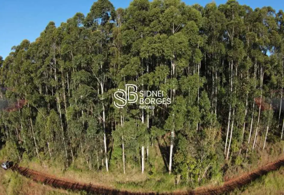 Fazenda / Haras à venda em Ita - SC - imagem 8 Foto 8 de Fazenda / Haras à venda em Ita - SC
