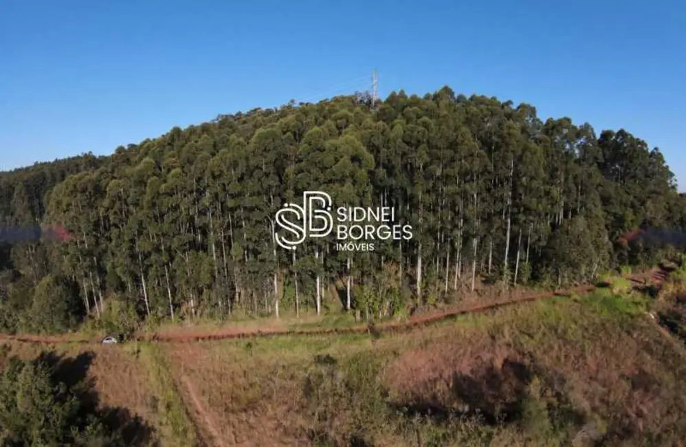 Fazenda / Haras à venda em Ita - SC - imagem 6 Foto 6 de Fazenda / Haras à venda em Ita - SC