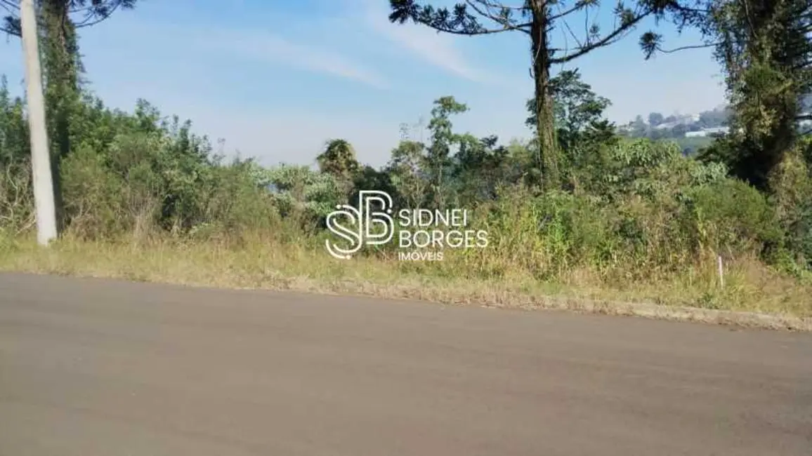 Foto 4 de Terreno / Lote à venda, 371m2 em Concordia - SC