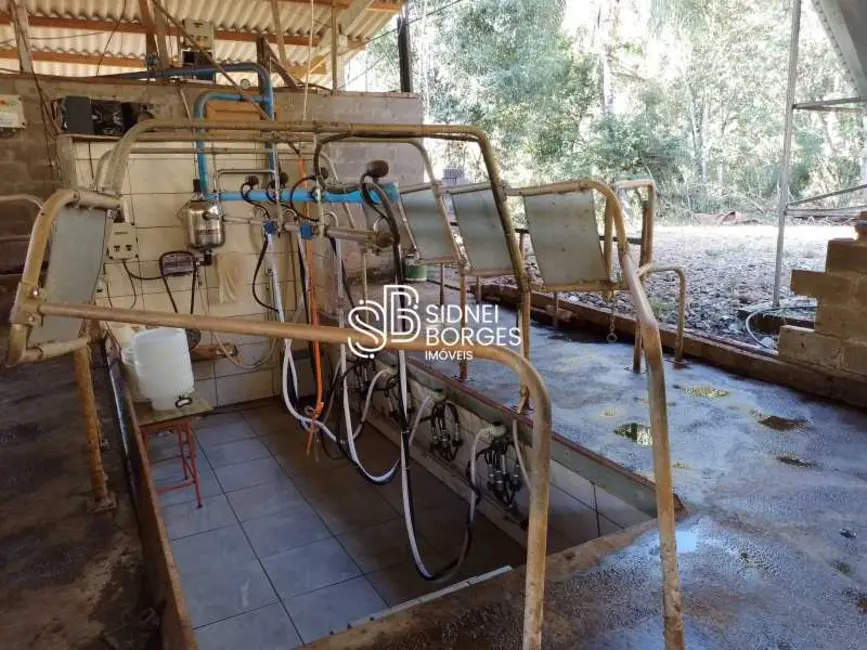 Sítio / Rancho à venda em Ita - SC - imagem 10 Foto 10 de Sítio / Rancho à venda em Ita - SC