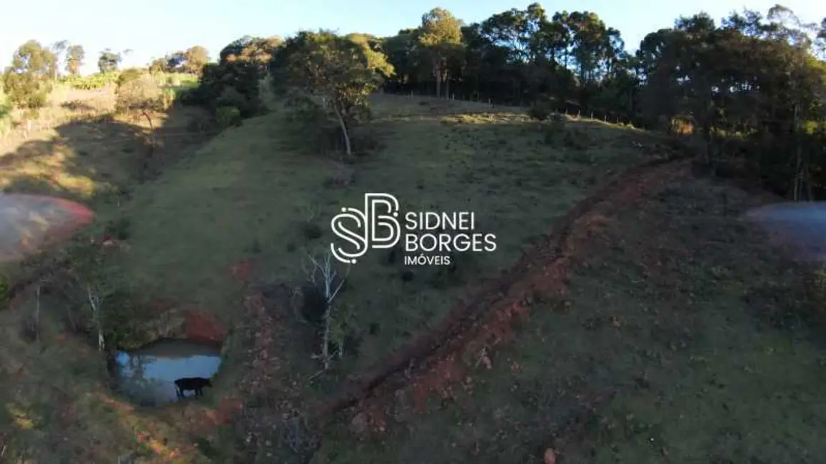 Foto 4 de Sítio / Rancho à venda em Concordia - SC