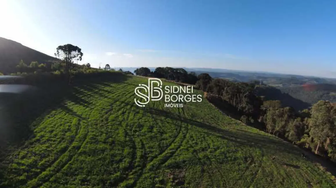 Foto 7 de Sítio / Rancho com 3 quartos à venda, 100m2 em Concordia - SC