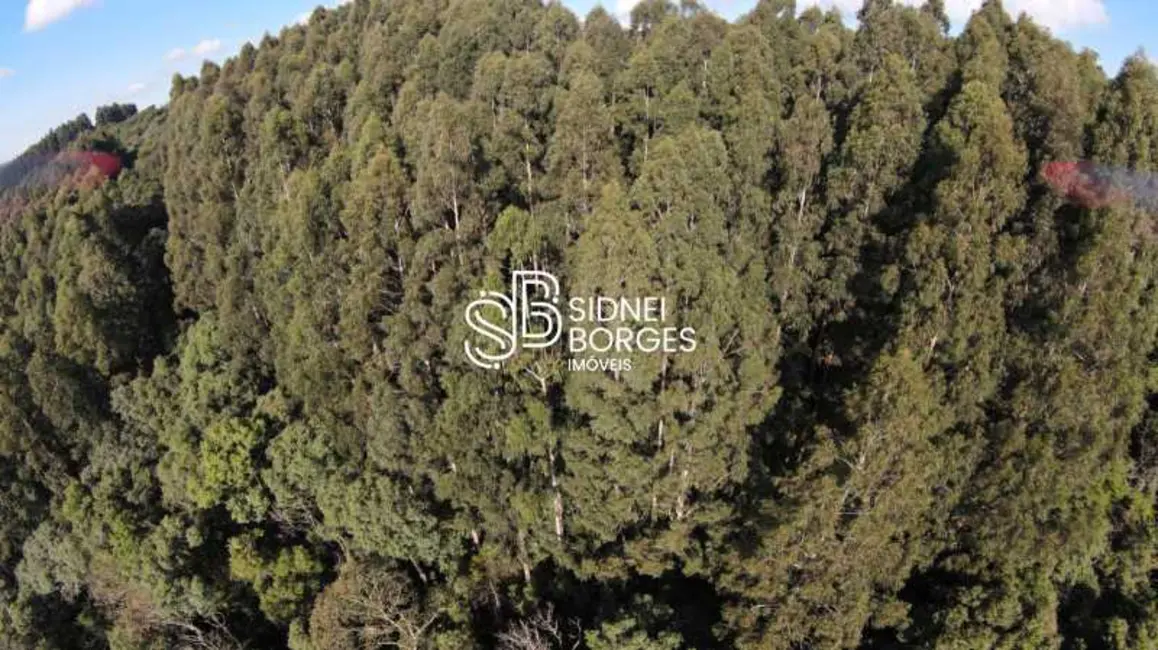 Foto 8 de Sítio / Rancho à venda em Irani - SC