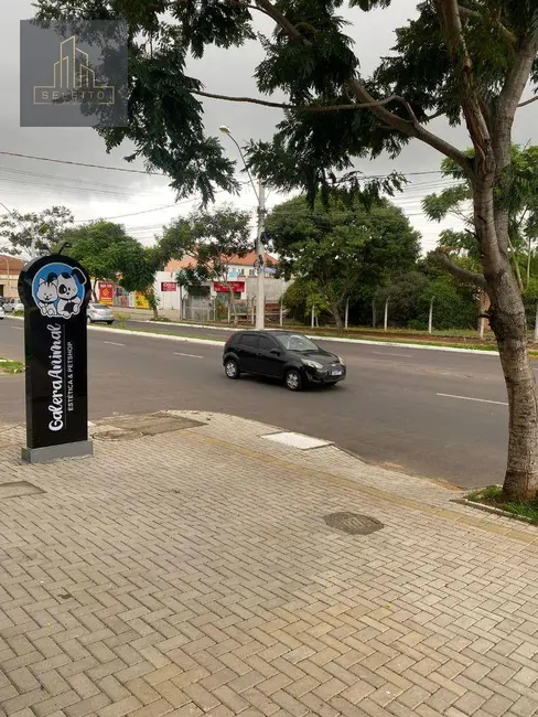 Loja para alugar, 35m2 em Estância Velha, Canoas - RS - imagem 6 Foto 6 de Loja para alugar, 35m2 em Estância Velha, Canoas - RS
