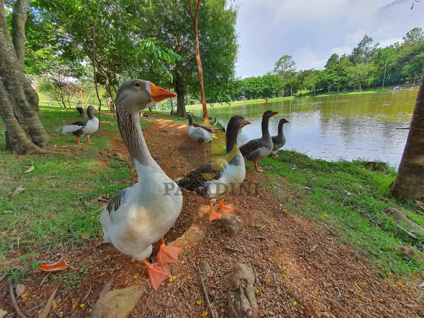 Foto 8 de Lote de Condomínio à venda, 538m2 em Itupeva - SP