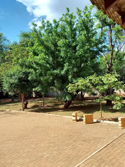 Chácara com 3 quartos à venda, 8000m2 em Centro, Bady Bassitt - SP - imagem 7 Foto 7 de Chácara com 3 quartos à venda, 8000m2 em Centro, Bady Bassitt - SP