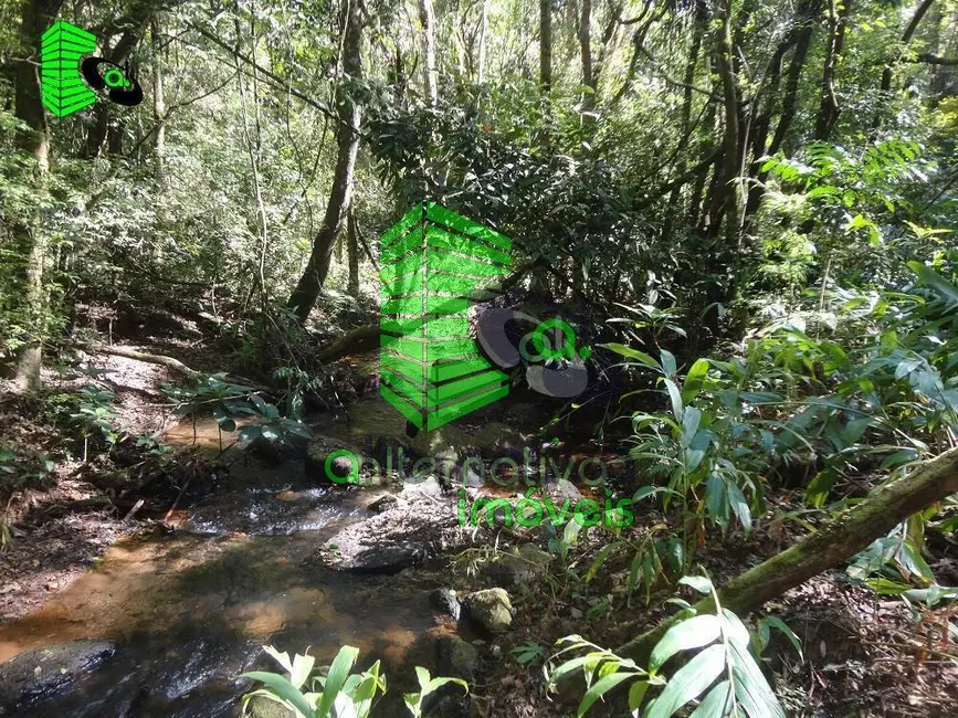 Foto 9 de Fazenda / Haras à venda, 31m2 em Santo Antonio Do Pinhal - SP