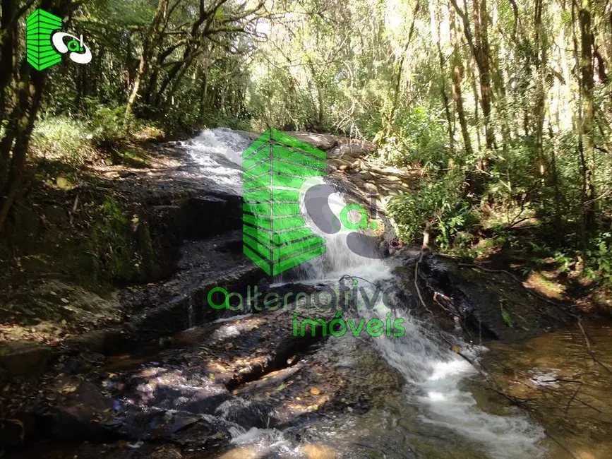 Foto 8 de Fazenda / Haras à venda, 31m2 em Santo Antonio Do Pinhal - SP