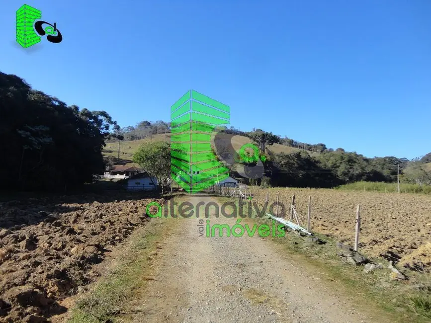 Foto 7 de Fazenda / Haras à venda, 31m2 em Santo Antonio Do Pinhal - SP