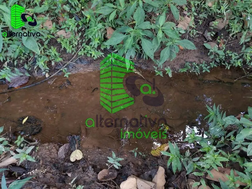 Foto 9 de Chácara à venda em Santo Antonio Do Pinhal - SP