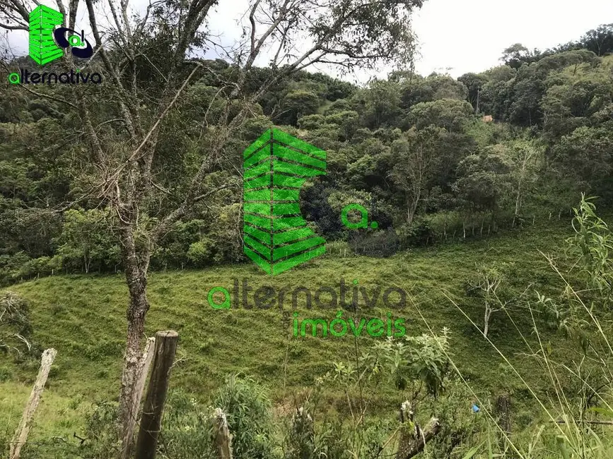 Foto 5 de Chácara à venda em Santo Antonio Do Pinhal - SP