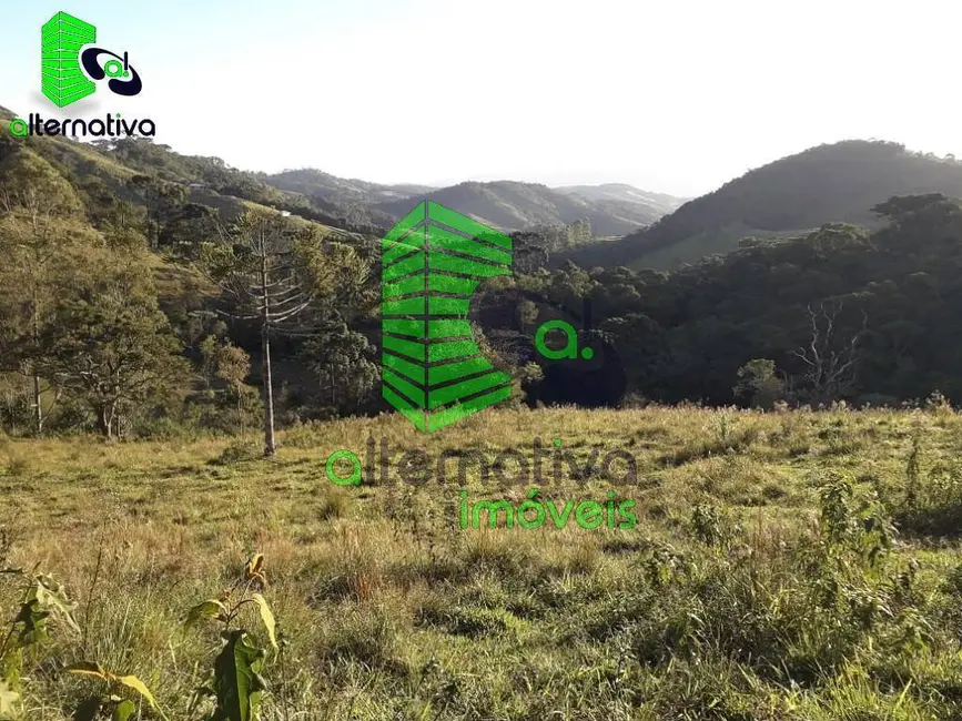 Foto 6 de Chácara à venda em Santo Antonio Do Pinhal - SP
