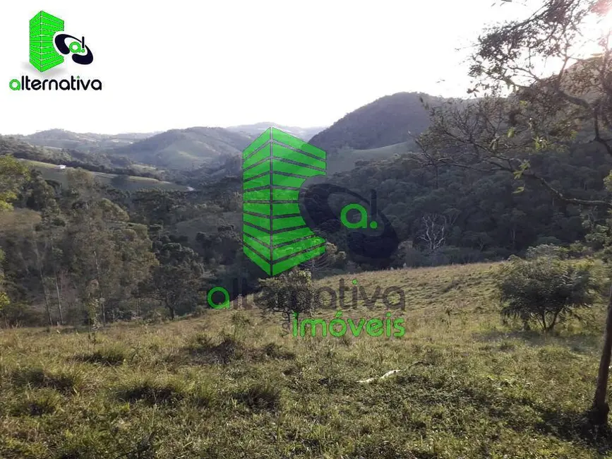 Foto 4 de Chácara à venda em Santo Antonio Do Pinhal - SP