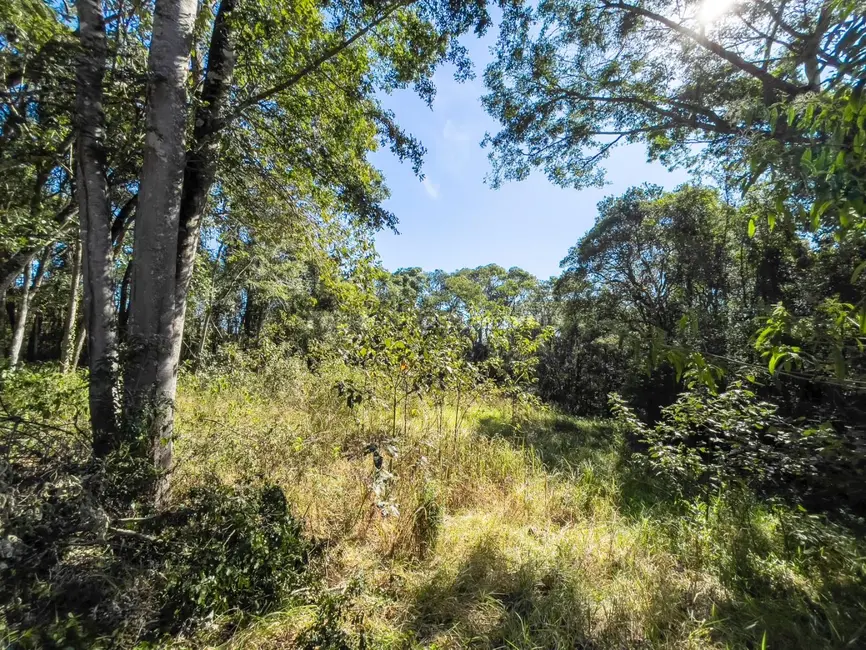 Foto 9 de Terreno / Lote à venda, 5800m2 em Fazenda Campo Verde, Jundiai - SP