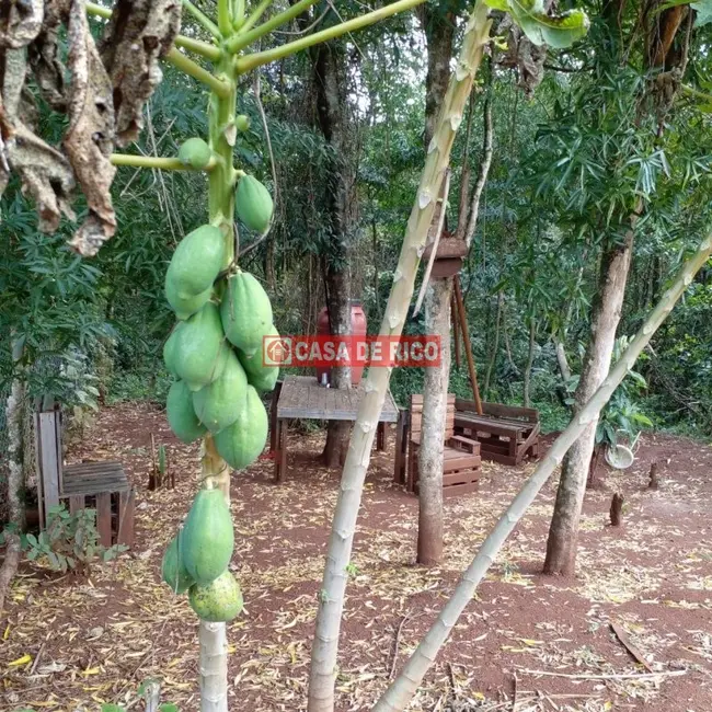 Foto 1 de Chácara à venda, 72m2 em Londrina - PR