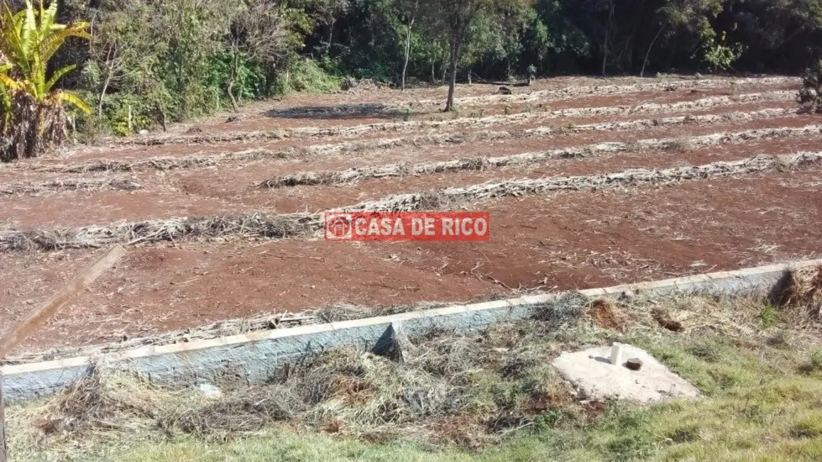 Foto 2 de Chácara à venda, 60m2 em Centro, Tamarana - PR