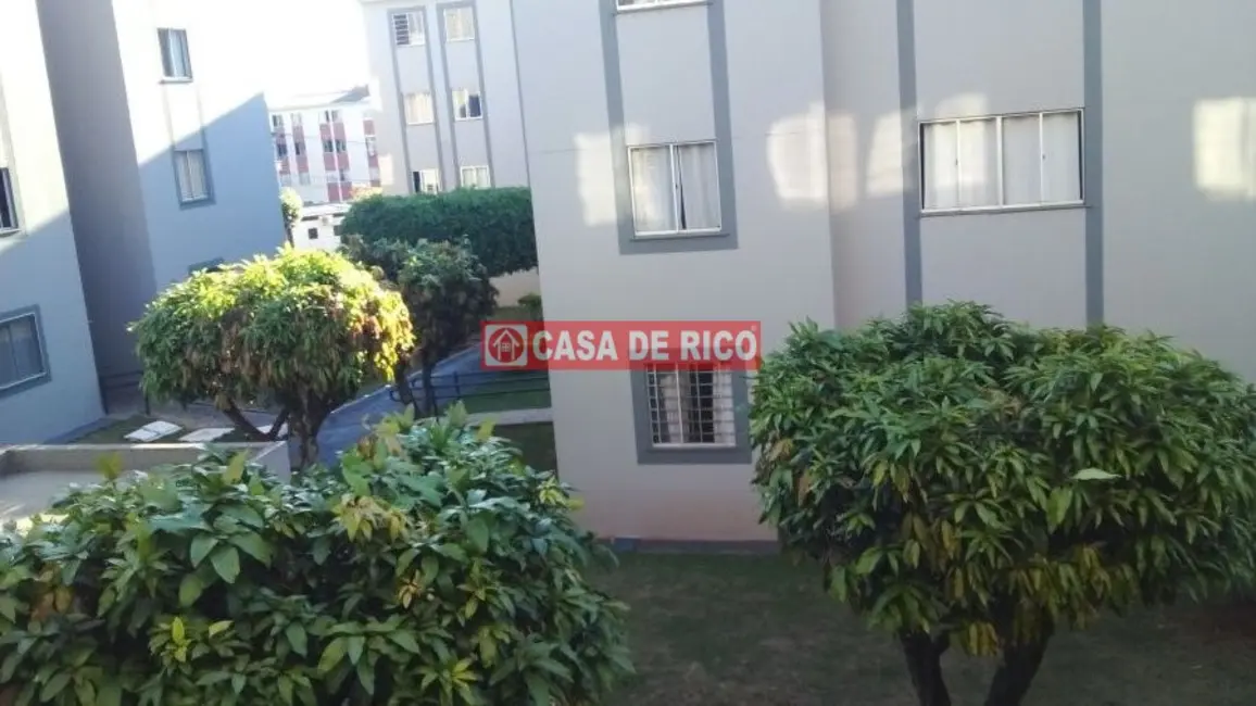Apartamento com 3 quartos à venda, 60m2 em Jardim Santa Cruz, Londrina - PR - imagem 1 Foto 1 de Apartamento com 3 quartos à venda, 60m2 em Jardim Santa Cruz, Londrina - PR