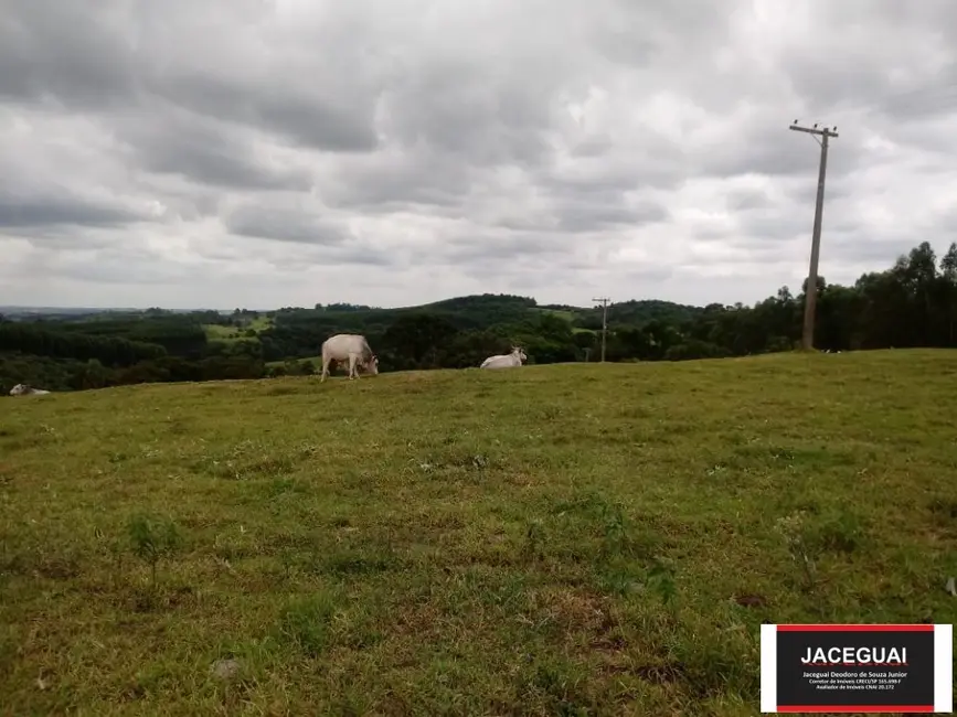 Fazenda / Haras à venda, 200m2 em Brigadeiro Tobias, Sorocaba - SP - imagem 7 Foto 7 de Fazenda / Haras à venda, 200m2 em Brigadeiro Tobias, Sorocaba - SP