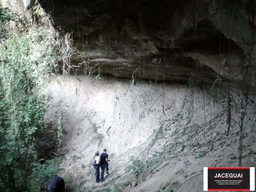 Fazenda / Haras com 16 quartos à venda, 6250m2 em Sarapui - SP - imagem 8 Foto 8 de Fazenda / Haras com 16 quartos à venda, 6250m2 em Sarapui - SP