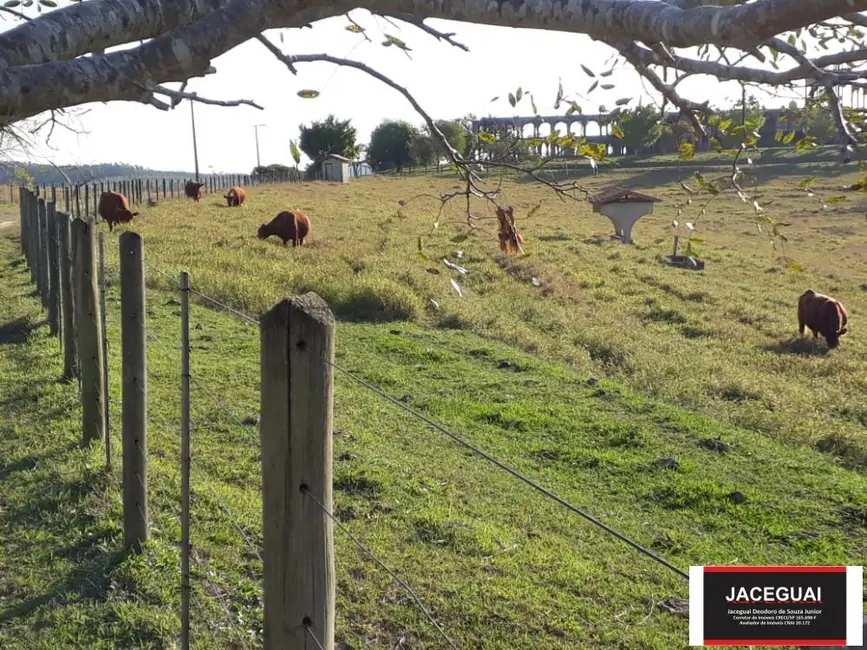 Fazenda / Haras com 16 quartos à venda, 6250m2 em Sarapui - SP - imagem 7 Foto 7 de Fazenda / Haras com 16 quartos à venda, 6250m2 em Sarapui - SP