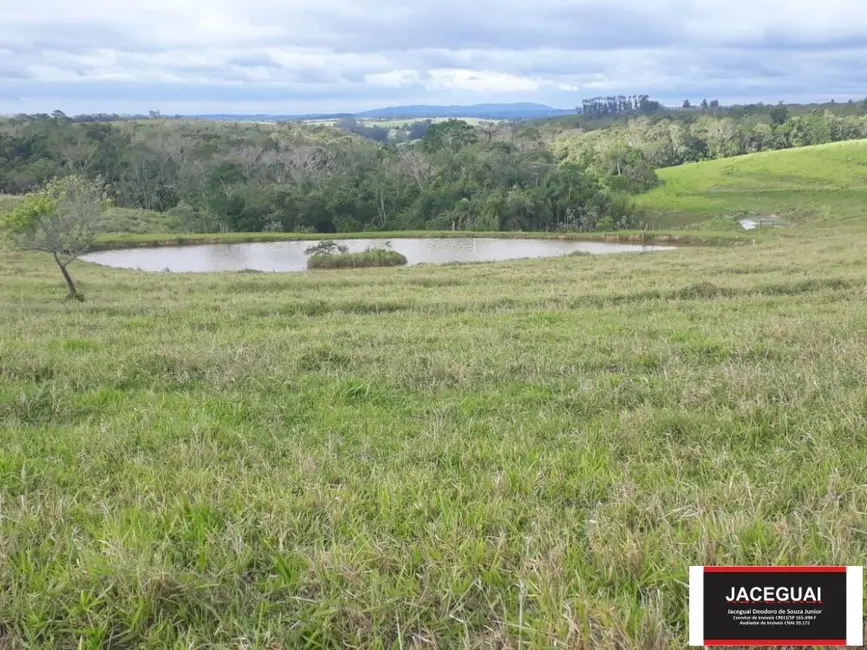 Foto 6 de Fazenda / Haras com 16 quartos à venda, 6250m2 em Sarapui - SP