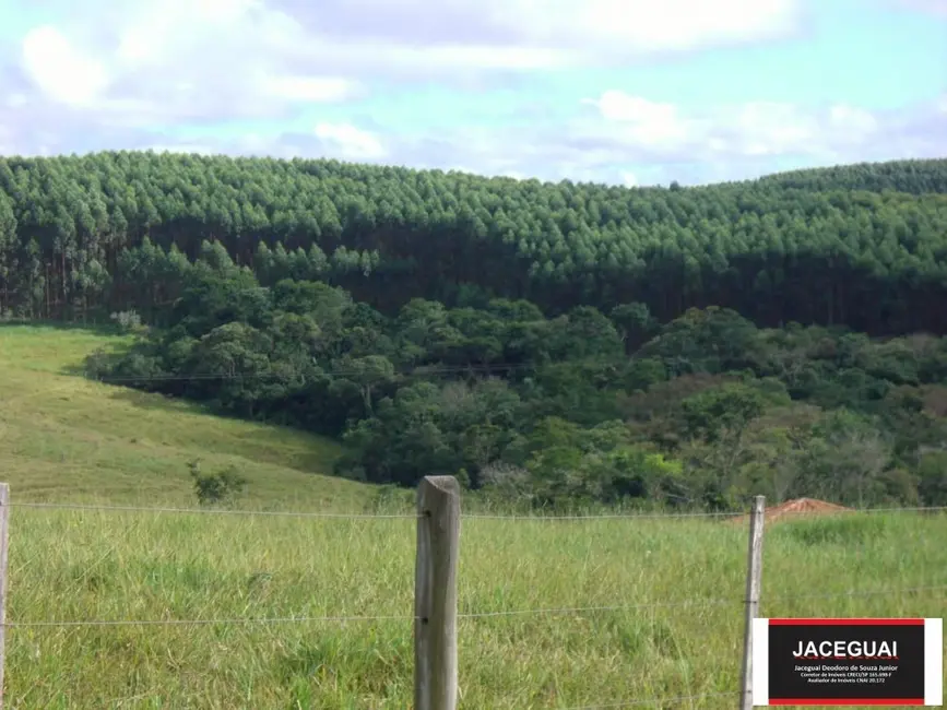 Fazenda / Haras com 16 quartos à venda, 6250m2 em Sarapui - SP - imagem 5 Foto 5 de Fazenda / Haras com 16 quartos à venda, 6250m2 em Sarapui - SP