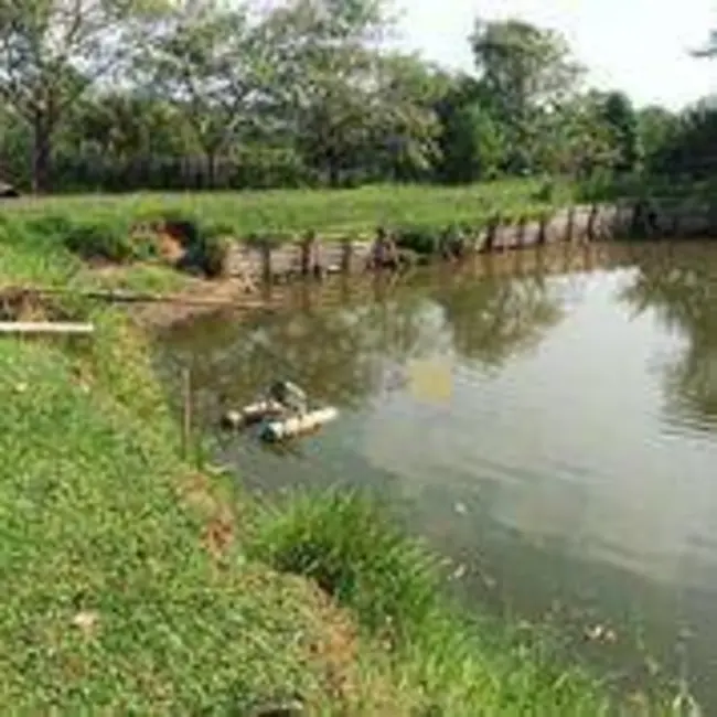 Foto 4 de Chácara com 3 quartos à venda, 19300m2 em Mário Dedini, Piracicaba - SP