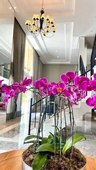 Foto 8 de Apartamento com 4 quartos à venda, 332m2 em Jardim Girassol, Americana - SP