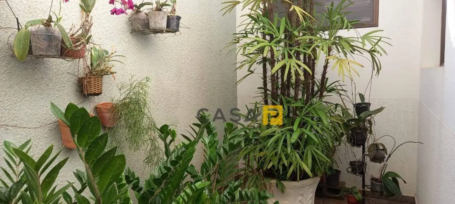 Casa com 3 quartos à venda, 324m2 em Chácara Machadinho II, Americana - SP - imagem 8 Foto 8 de Casa com 3 quartos à venda, 324m2 em Chácara Machadinho II, Americana - SP