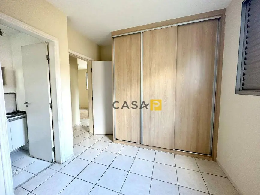 Foto 1 de Apartamento com 3 quartos à venda, 59m2 em Conserva, Americana - SP