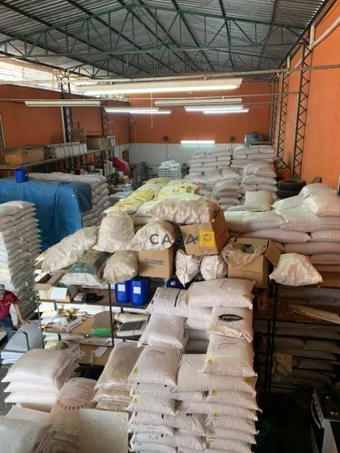 Foto 3 de Armazém / Galpão à venda, 750m2 em Jardim Ipiranga, Americana - SP