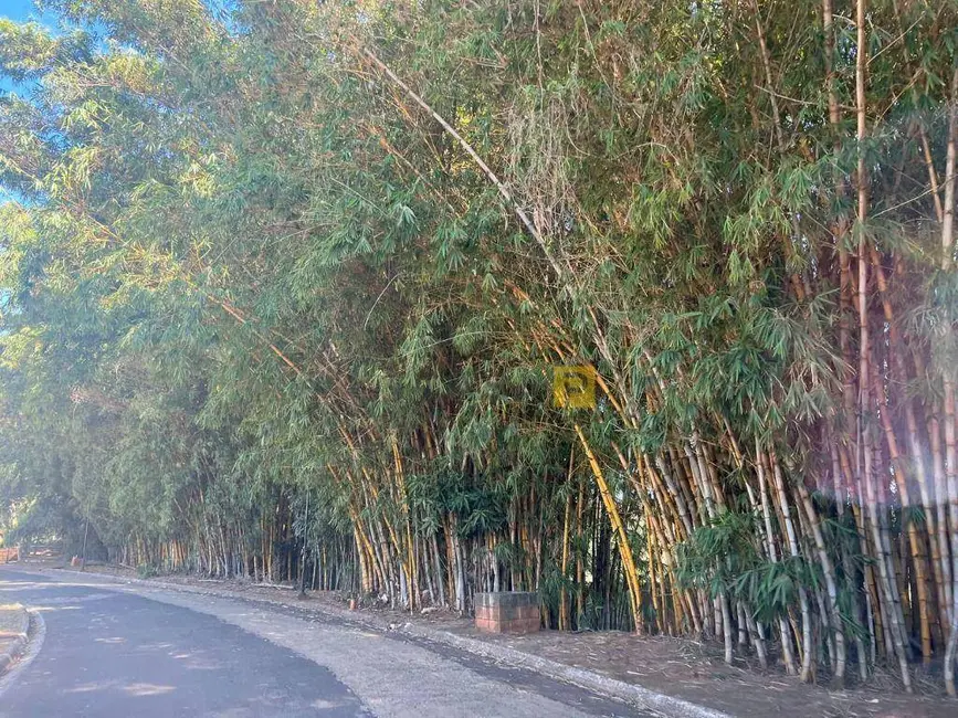 Foto 5 de Terreno / Lote à venda, 360m2 em Parque Nova Carioba, Americana - SP