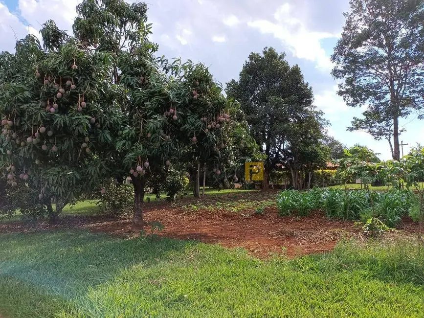 Foto 4 de Chácara com 4 quartos à venda, 24200m2 em Limeira - SP