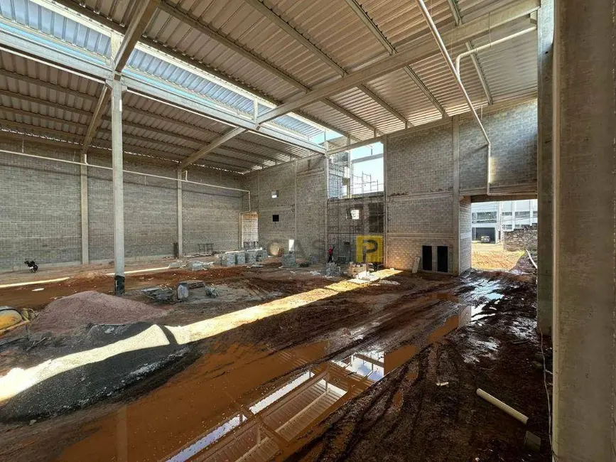 Foto 5 de Armazém / Galpão para alugar, 5030m2 em Loteamento Industrial Machadinho, Americana - SP