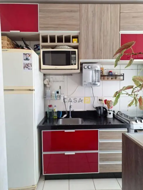 Apartamento com 2 quartos à venda, 50m2 em Jardim Progresso, Americana - SP - imagem 7 Foto 7 de Apartamento com 2 quartos à venda, 50m2 em Jardim Progresso, Americana - SP