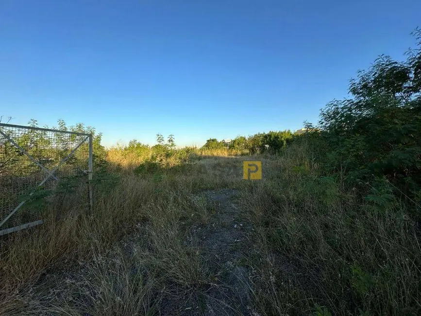 Foto 5 de Armazém / Galpão à venda e para alugar, 10564m2 em Jardim Olga Veroni, Limeira - SP