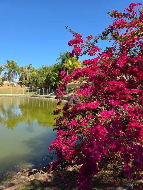 Foto 7 de Chácara com 3 quartos à venda, 23300m2 em Paraíso da Cachoeira, Mogi Mirim - SP