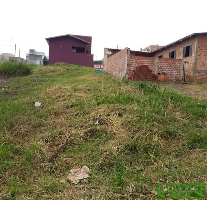 Terreno / Lote à venda, 260m2 em Jacarezinho - PR - imagem 3 Foto 3 de Terreno / Lote à venda, 260m2 em Jacarezinho - PR
