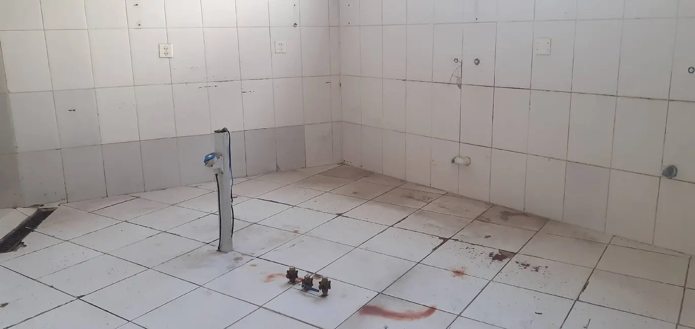 Foto 5 de Loja para alugar, 239m2 em Jardim Paulistano, São Paulo - SP