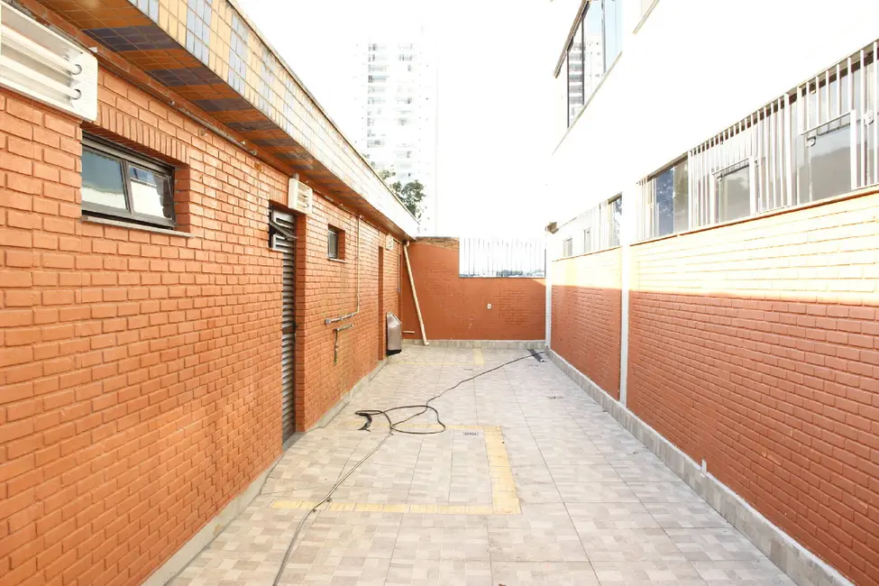 Sala Comercial para alugar, 1429m2 em Vila Paulista, São Paulo - SP - imagem 5 Foto 5 de Sala Comercial para alugar, 1429m2 em Vila Paulista, São Paulo - SP