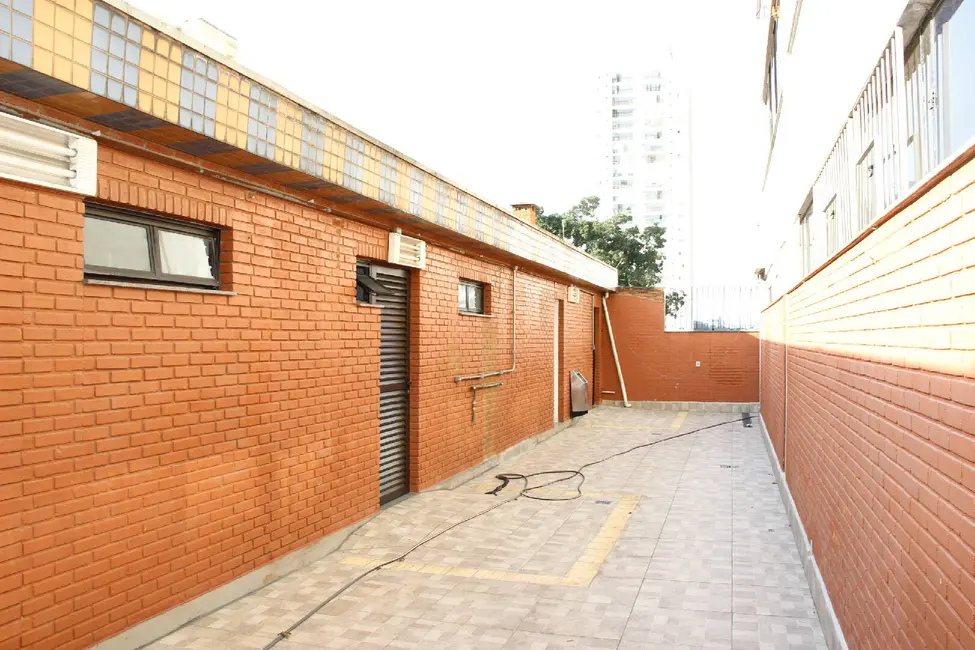 Sala Comercial para alugar, 1429m2 em Vila Paulista, São Paulo - SP - imagem 6 Foto 6 de Sala Comercial para alugar, 1429m2 em Vila Paulista, São Paulo - SP