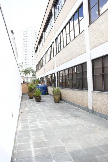 Foto 3 de Sala Comercial para alugar, 1371m2 em Vila Mascote, São Paulo - SP