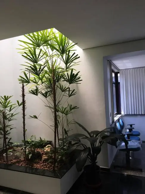 Foto 8 de Sala Comercial para alugar, 997m2 em Planalto Paulista, São Paulo - SP