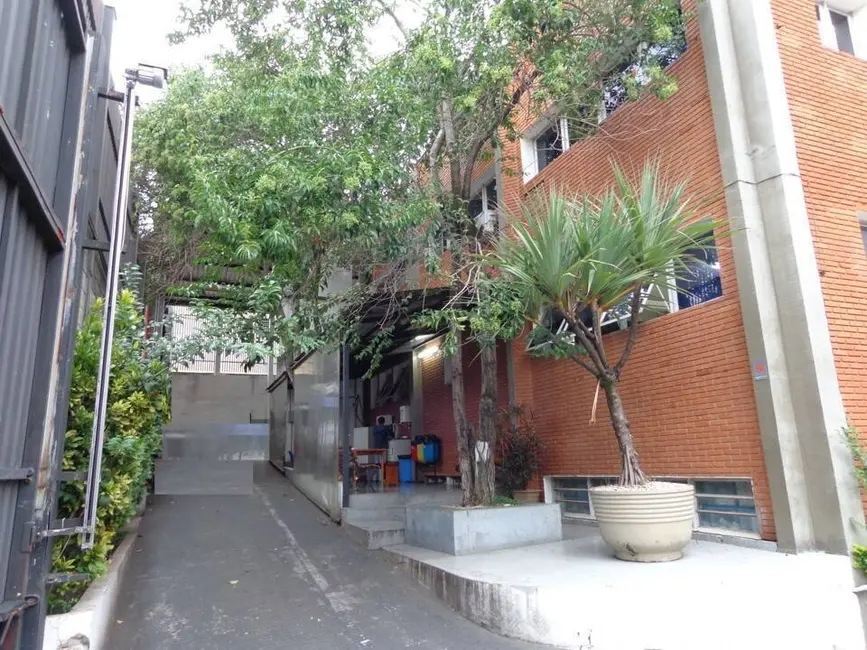 Armazém / Galpão à venda, 1500m2 em Vila Santa Catarina, São Paulo - SP - imagem 5 Foto 5 de Armazém / Galpão à venda, 1500m2 em Vila Santa Catarina, São Paulo - SP