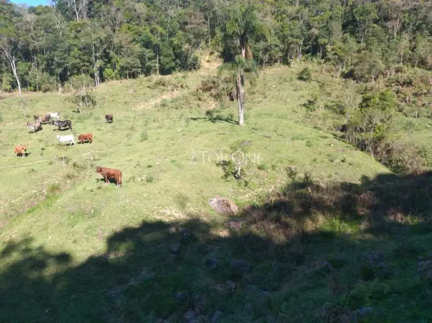 Foto 4 de Sítio / Rancho à venda, 10m2 em Rancho Queimado - SC