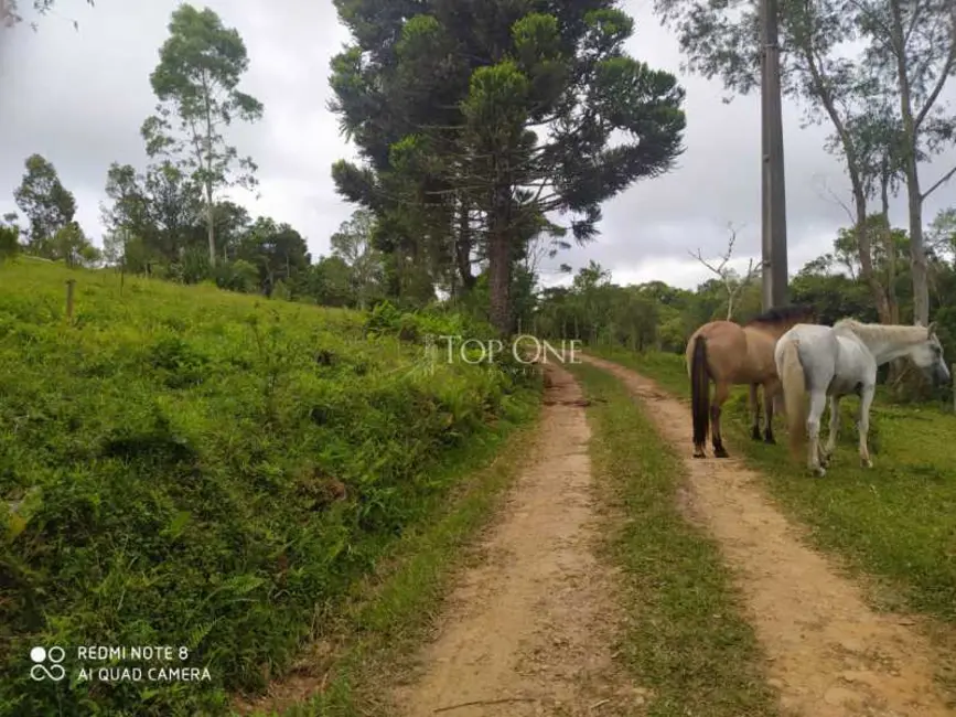 Foto 7 de Sítio / Rancho à venda, 60m2 em Rancho Queimado - SC
