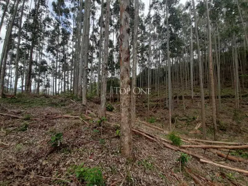 Foto 5 de Sítio / Rancho à venda, 10m2 em Sao Bonifacio - SC